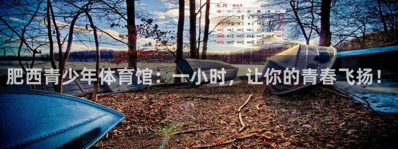 雷速为什么没有指数选项了呢：肥西青少年体育馆：一小时，让你的青春飞扬！