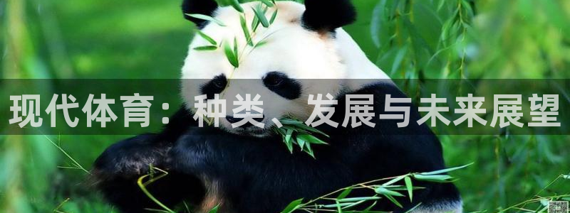 雷速cba 2005鞋款：现代体育：种类、发展与未来展望