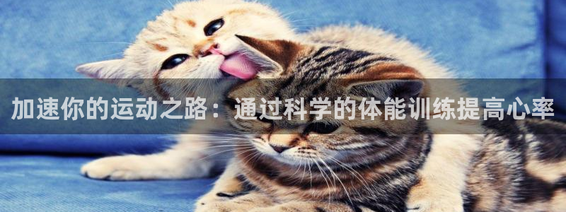 雷速新版本没指数：加速你的运动之路：通过科学的体能训练提高心率