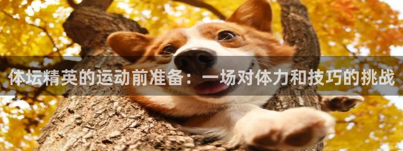 雷速英超：体坛精英的运动前准备：一场对体力和技巧的挑战