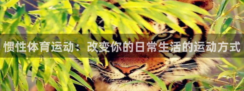 雷速网页版本：惯性体育运动：改变你的日常生活的运动方式