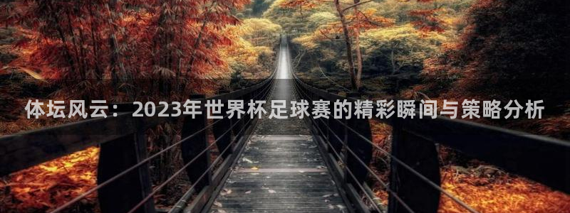 雷速官网入口：体坛风云：2023年世界杯足球赛的精彩瞬间与策略分析