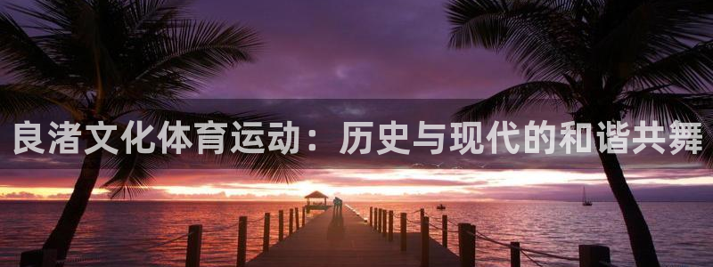 雷速是什么软件：良渚文化体育运动：历史与现代的和谐共舞