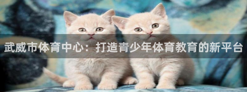 雷速登之翼飞冲天：武威市体育中心：打造青少年体育教育的新平台