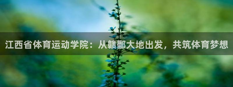 雷速官方下载：江西省体育运动学院：从赣鄱大地出发，共筑体育梦想